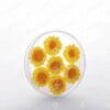 ##tt##-Saffron Crystal Container - Deep Round 5 (11)