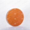 ##tt##-Saffron Crystal Container - Deep Round 5 (11)