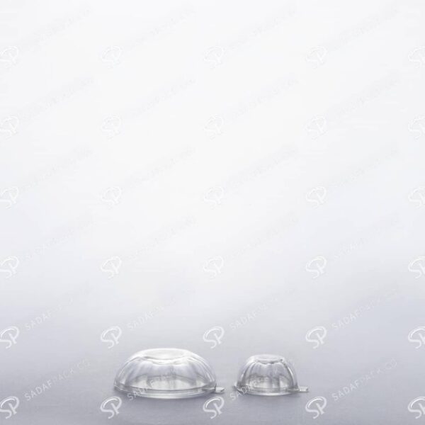 Ocular