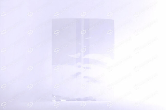 تريسبافان الزعفران مع الذيل 18 × 24
