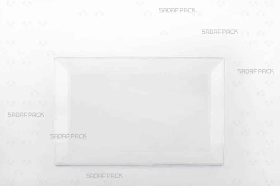 The front view of the Rectangle 200 container highlights its clear, geometric polycrystal structure and spacious design.