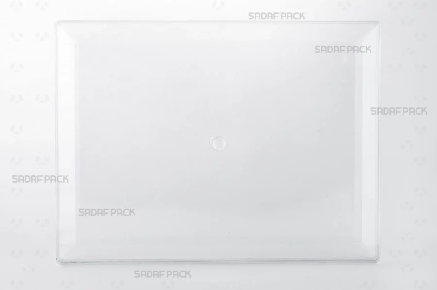 A front view of the Rectangle 500 container, showcasing its large, clear polycrystal structure and spacious design.