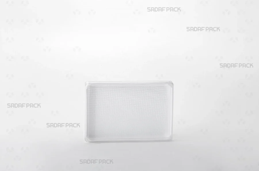 A direct front angle view of the 10.5 España container, emphasizing its geometric structure and transparent material.